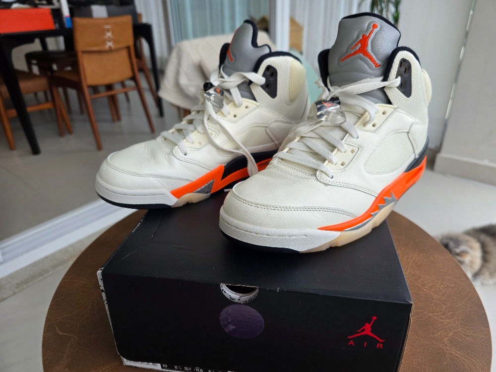 Air Jordan 5 Shattered Backboard