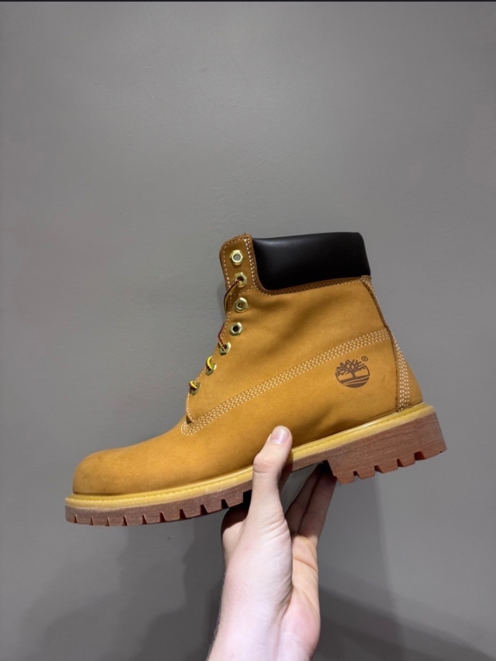 Bota Timberland 6" Premium Waterproof Wheat
