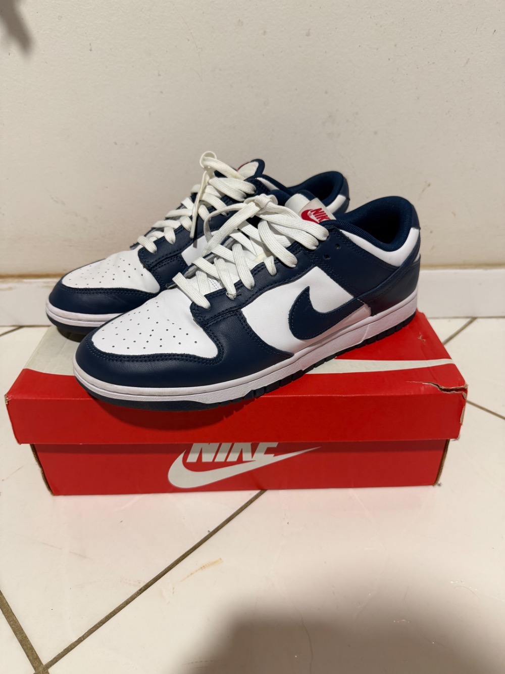 Nike Dunk Low Valerian Blue