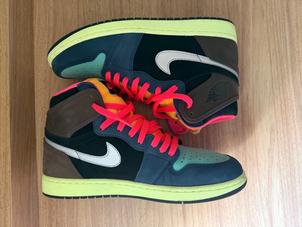 Air Jordan 1 High Bio Hack Baroque