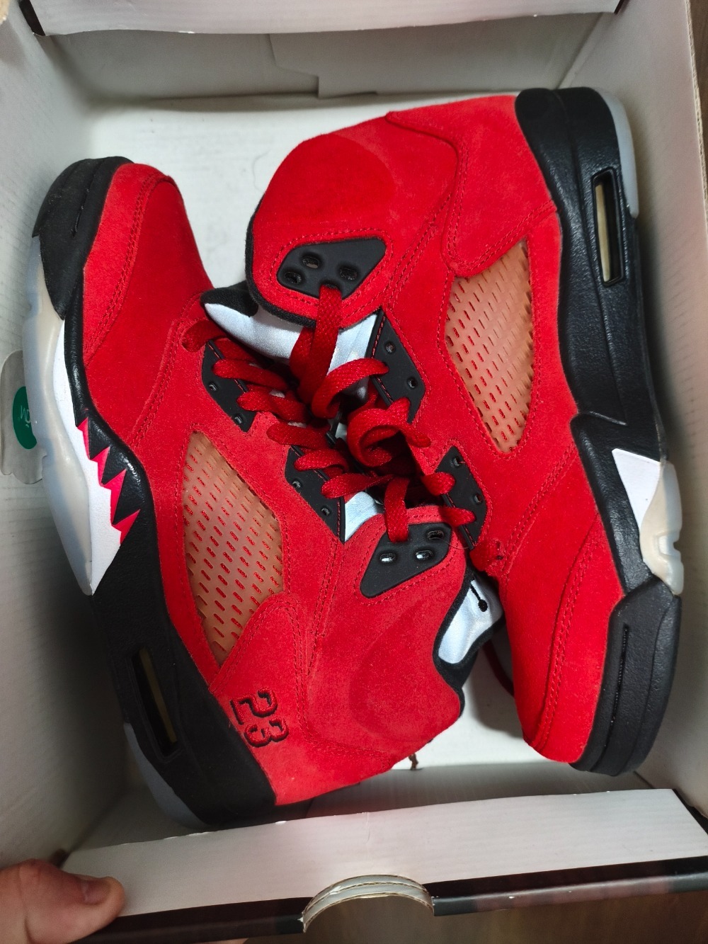 Air Jordan 5 Raging Bull