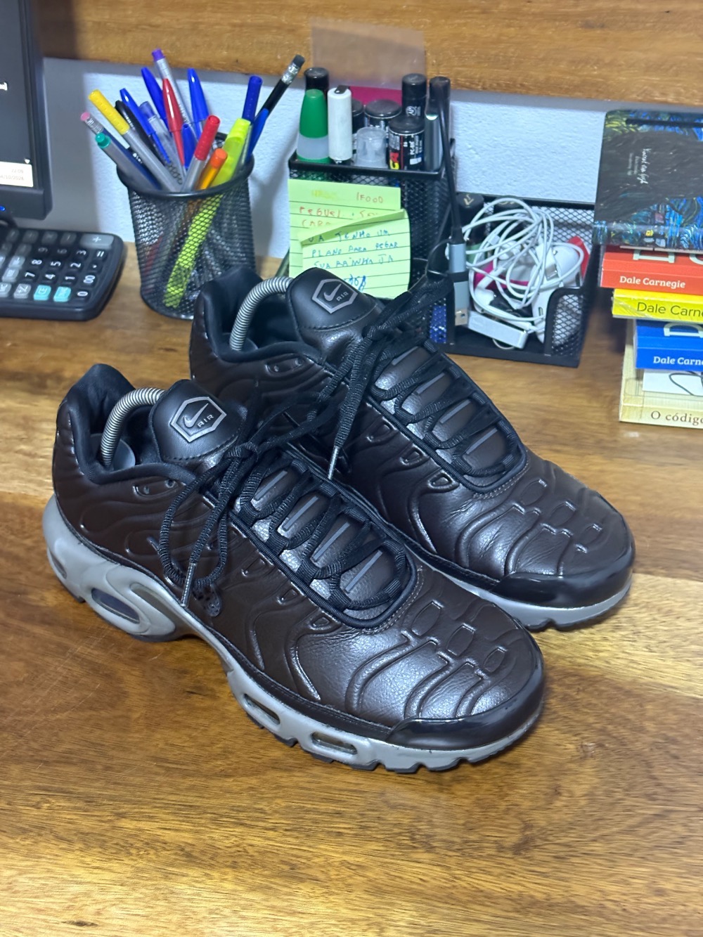 Nike Air Max Plus PRM Black Tea Petra Brown