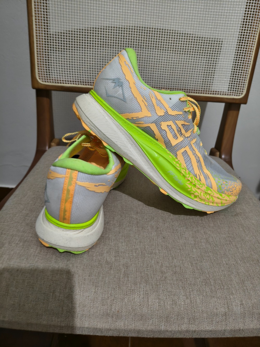Asics Metafuji Trail