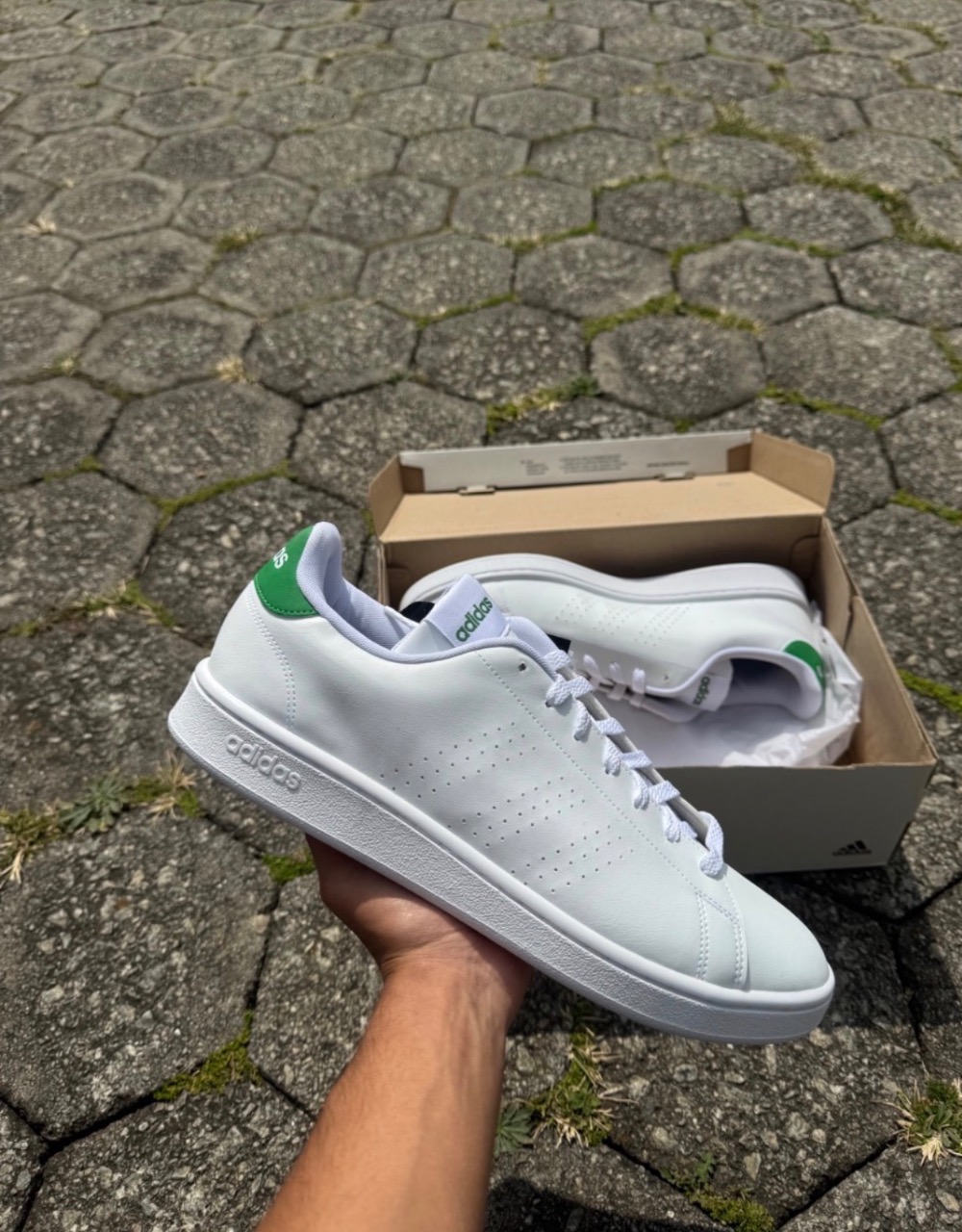 adidas Advantage Cloud White Green