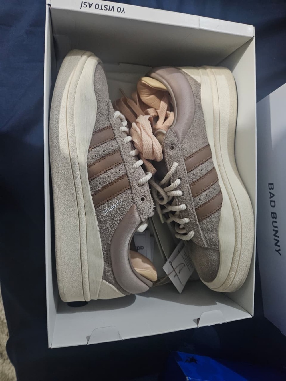 Bad Bunny x adidas Campus Brown