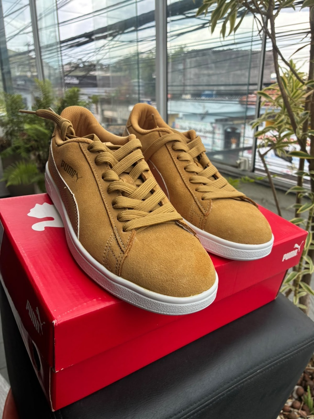 Puma Smash v2 BDP