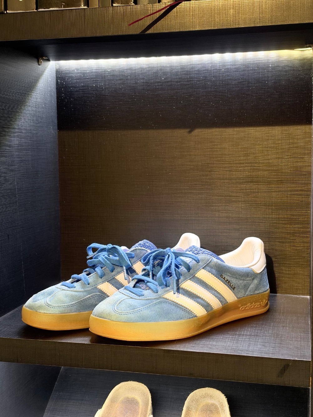 adidas Gazelle Indoor Royal Blue — 39 / 39.5, Usado
