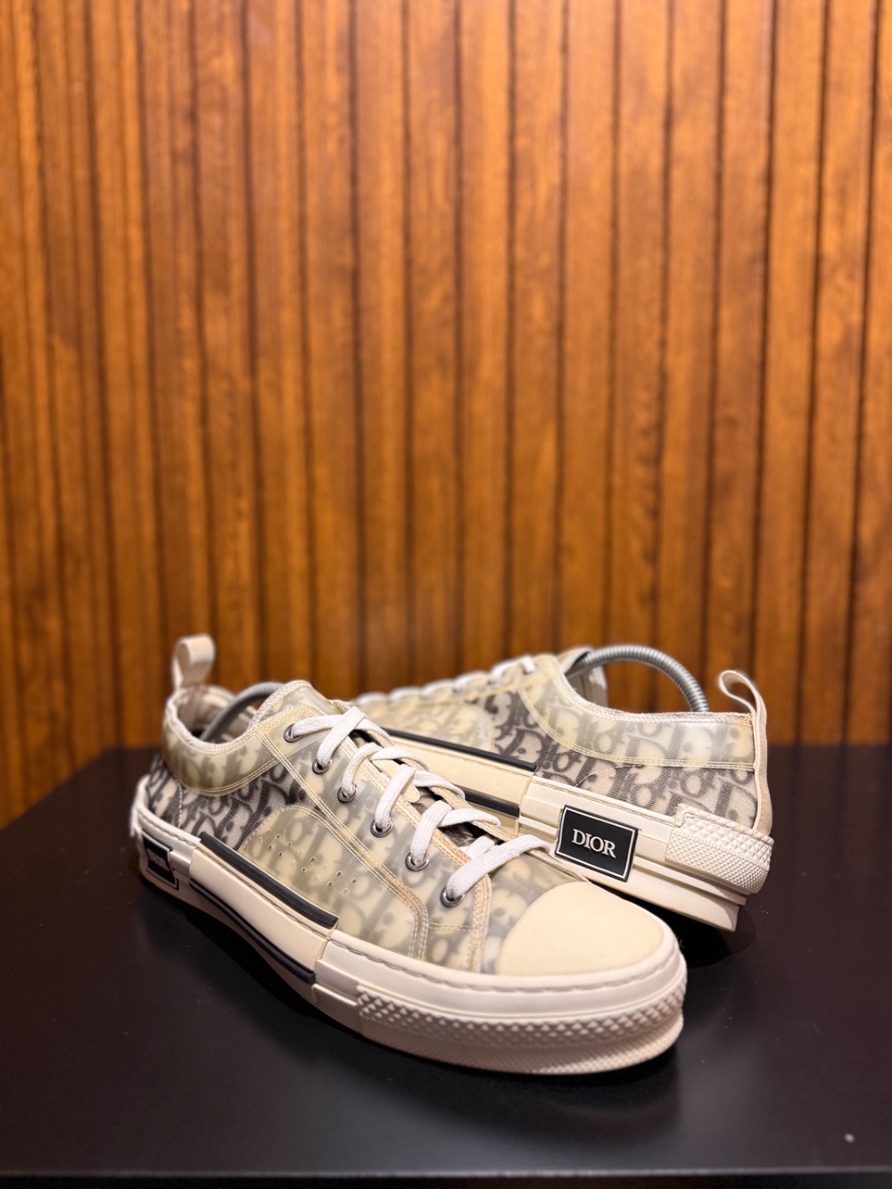 Dior Canvas Oblique B23 Black White